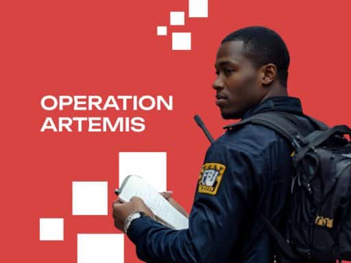 Operation Artemis