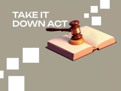 Take It Down Act