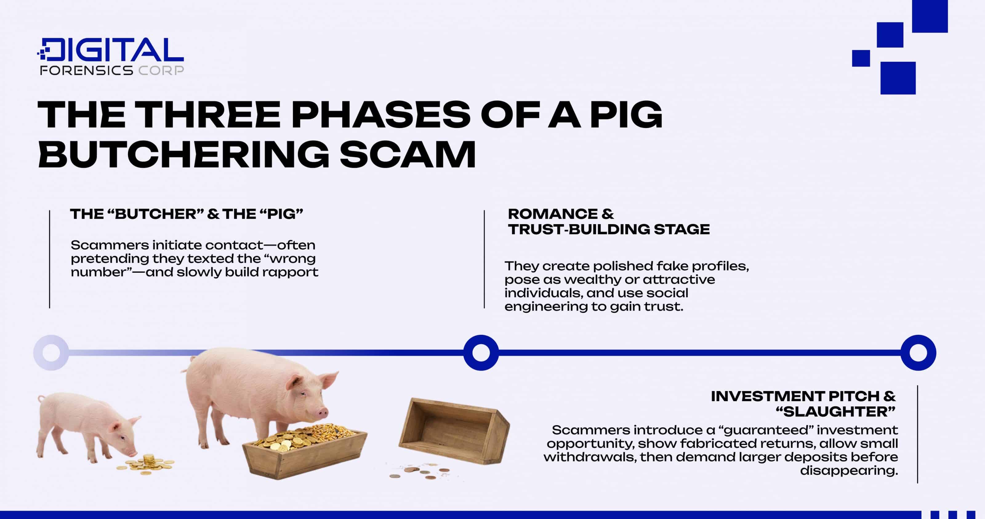 The Three Phases of a Pig Butchering Scam