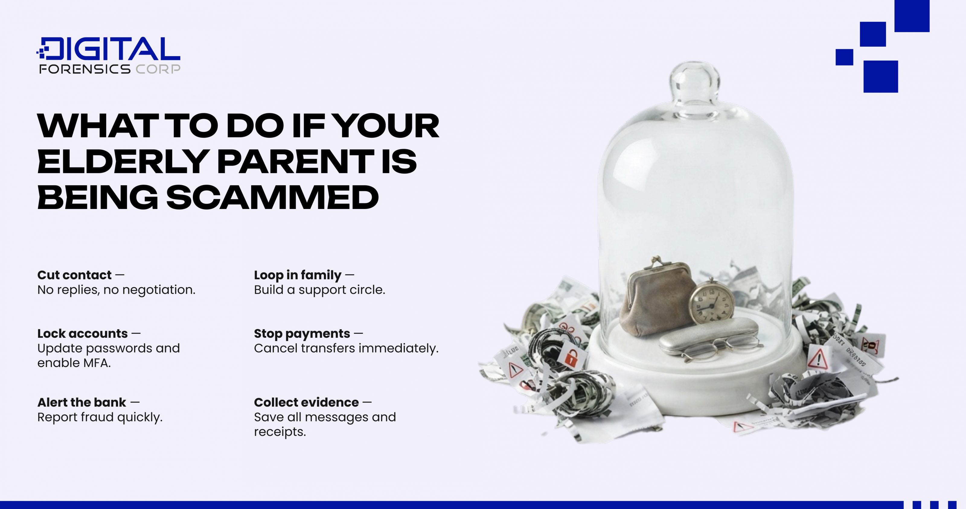 What to Do If Your Elderly Parent Is Being Scammed