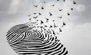 Access Deceased Persons Data