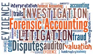 Forensic Accounting services